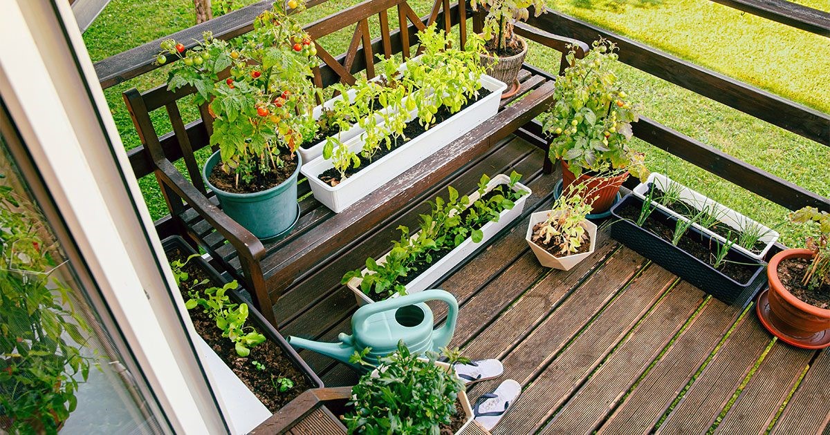 horta